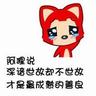 宠物的护理知识